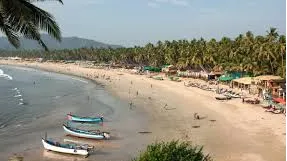 Benaulim & Majorda Beaches